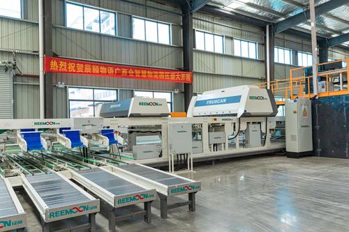 辰颐物语广西仓智慧物流园区盛大开园，引领供应链管理服务新篇章