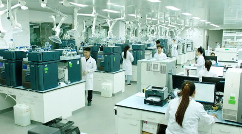 副中心减碳1.8万吨背后的“绿色成绩单” 制造业转型与供应链服务协同发力